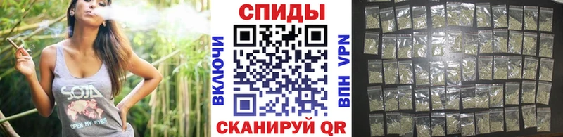 Бутират буратино  Суджа 