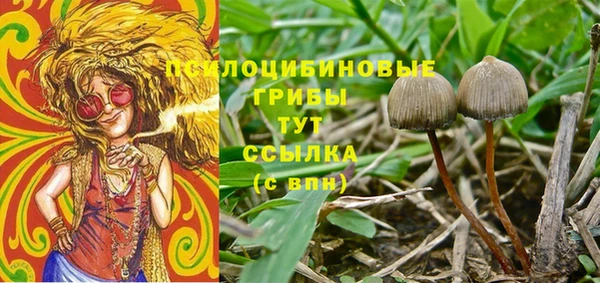 MESCALINE Алзамай