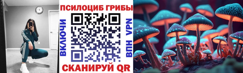 Псилоцибиновые грибы Psilocybe  купить наркотик  Суджа 