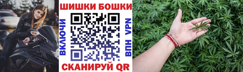Шишки марихуана марихуана  Суджа 